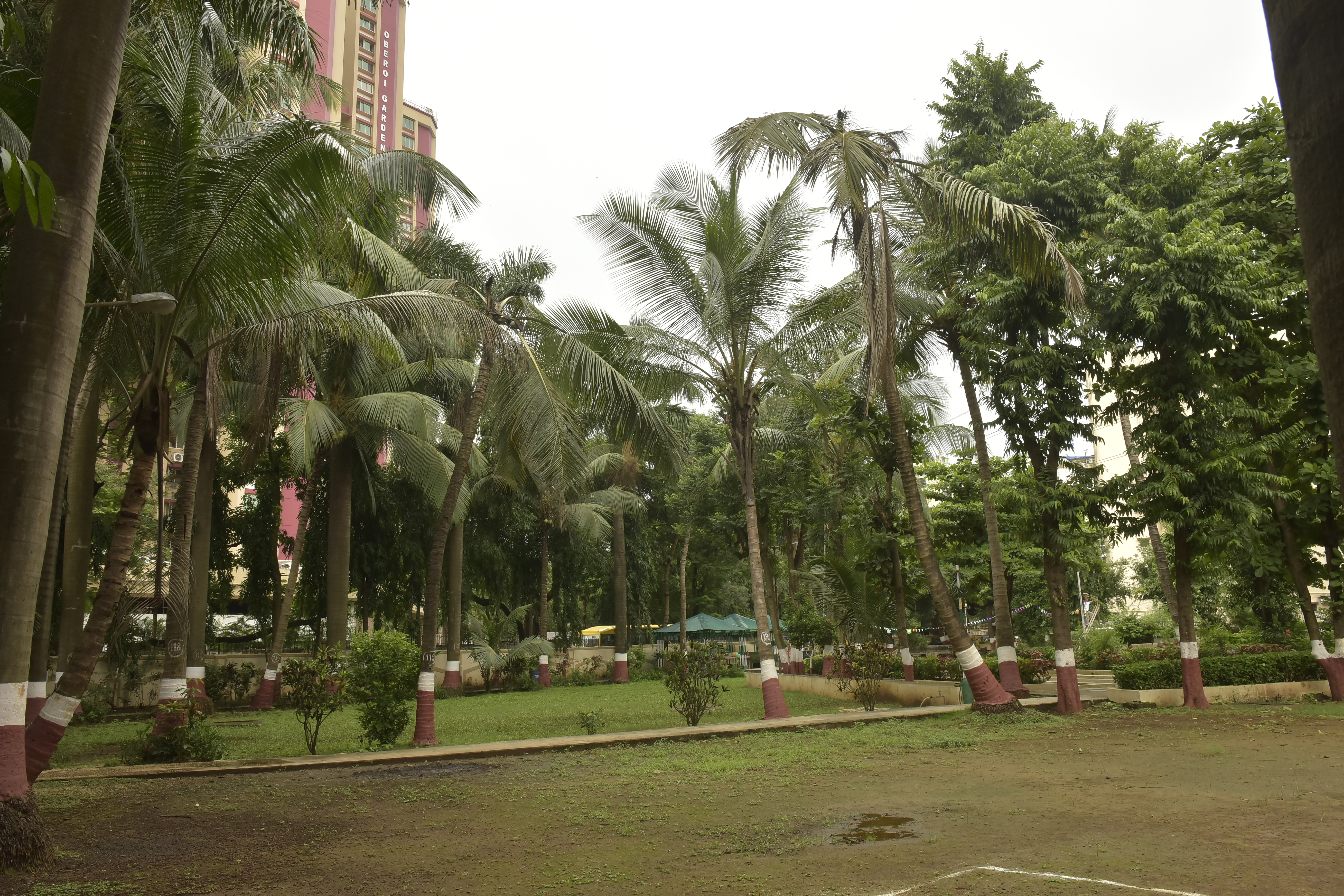 Community Area